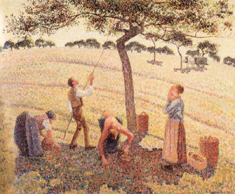 Camille Pissarro Apple picking at Eragny-sur-Epte Norge oil painting art